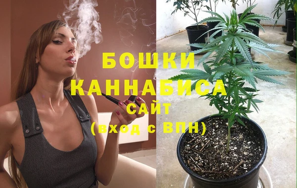 PSILOCYBIN Майский
