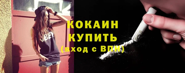 PSILOCYBIN Майский
