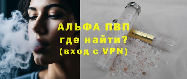 PSILOCYBIN Майский