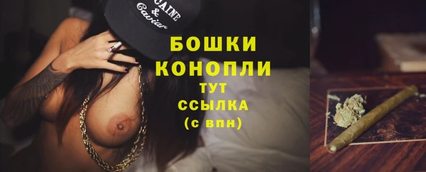 PSILOCYBIN Майский