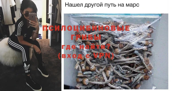 соль ск Магас