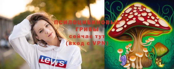 a pvp Медвежьегорск