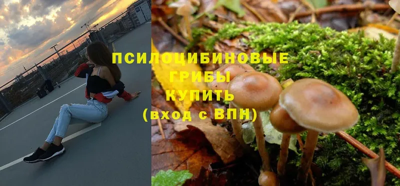 где найти   Южа  hydra маркетплейс  Псилоцибиновые грибы Magic Shrooms 